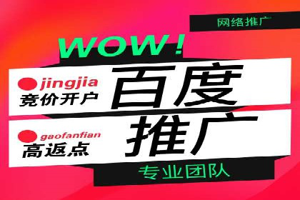 竞价广告的投放策略与效果评估——以一成功企业为例